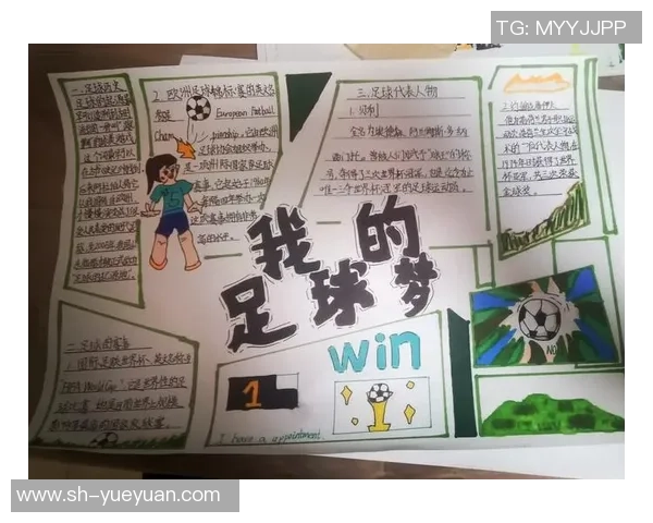 《从绿茵场到人生巅峰 足球巨星的奋斗与荣耀自述》